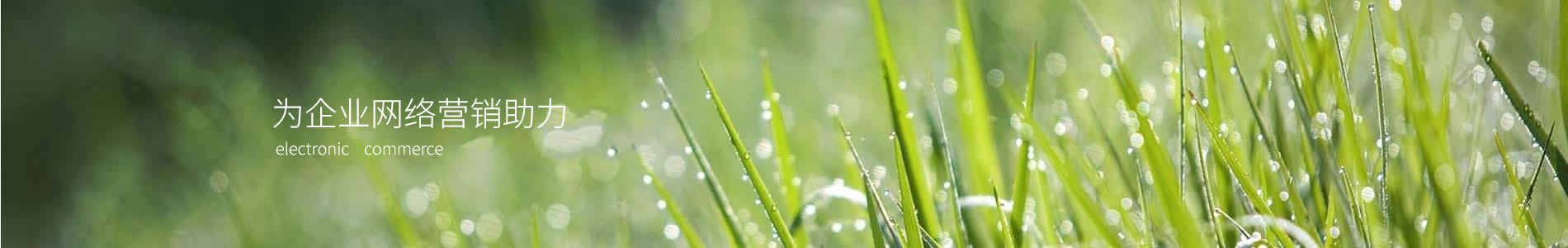 ڰ̩ȫ豸޹˾